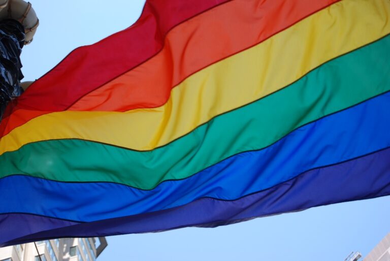 LMBTQ flag