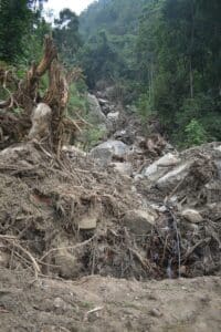 Mud, rocks, and uprooted trees from a forest landslide