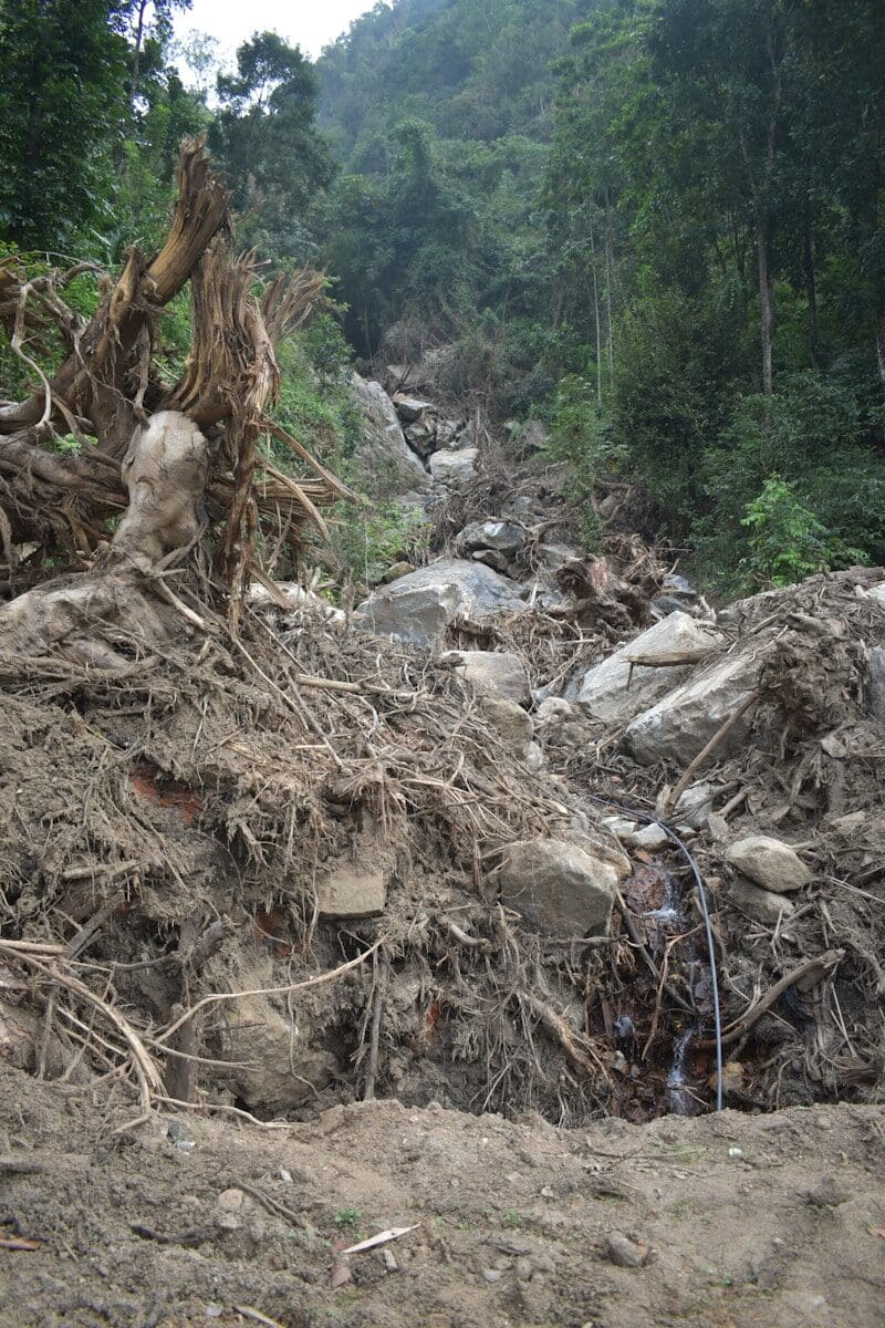 Mud, rocks, and uprooted trees from a forest landslide