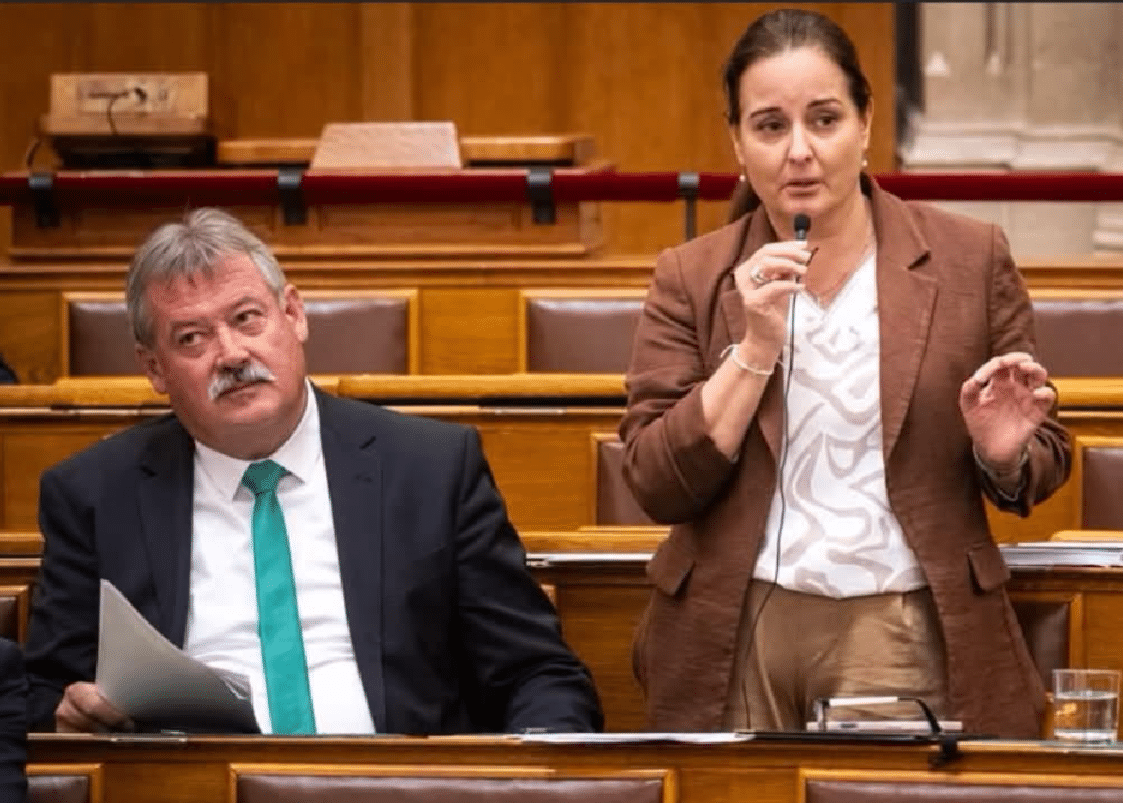 Máthé Zsuzsa: A magyar gyerekeket és a magyar szülőket a Tisza-kormány egy tál lencséért odadobta a gender-lobbinak